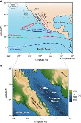 Evolution of ocean circulation and water masses in the Guaymas Basin (Gulf of California) during the last 31,000 years revealed by radiolarians and silicoflagellates in IODP expedition 385 sediment cores